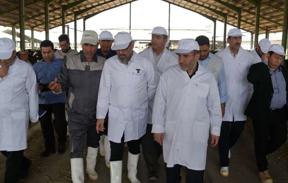 بازدید رئیس بنیاد مستضعفان و استاندار کرمانشاه از گاوداری ۳ هزار راسی ماهیدشت