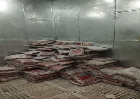 کشف و معدوم سازی بیش از ۳۵۰۰ کیلوگرم گوشت و آلایش منجمد تاریخ مصرف گذشته در کرمانشاه