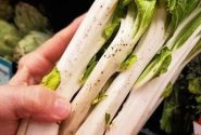چه کسانی نباید «کنگر» بخورند؟